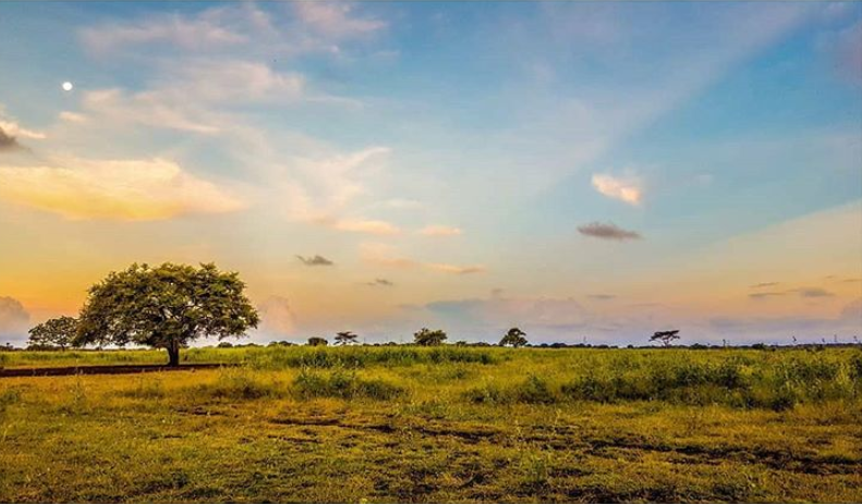 Taman Nasional Baluran : Fasilitas, Rute, Jam Buka, Harga Tiket dan